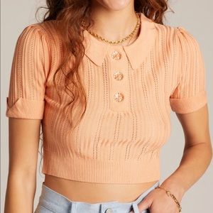 For love & lemons Sherbert Phoebe Polo Sweater